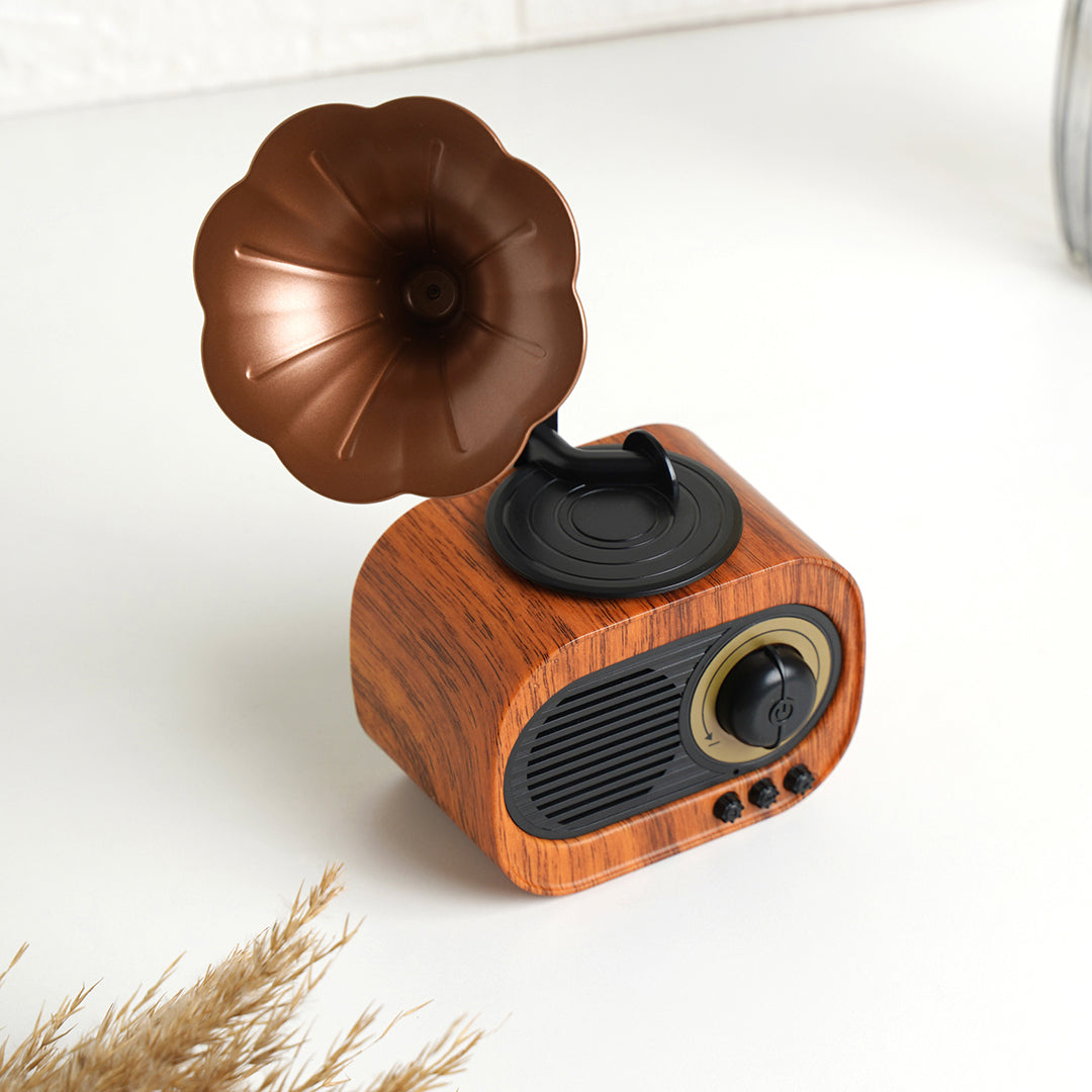 Bluetooth speaker ‘Gramophone’